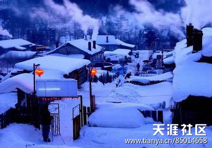 大兴安岭资源丰富，野味颇多，堪称旅游胜地  大兴安岭 野味 旅游胜地 资源丰富 堪称 第1张